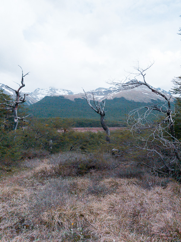 Trekking Laguna Esmeralda