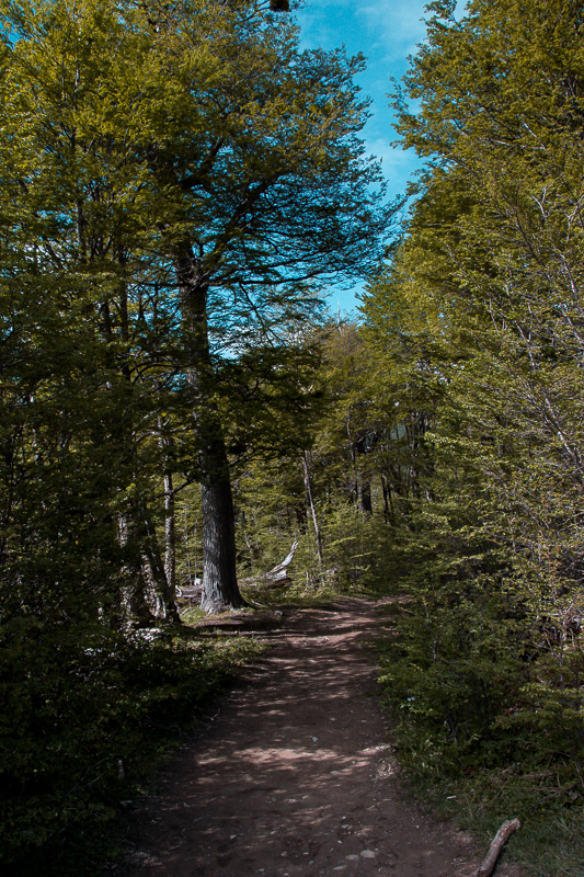 Trekking Laguna Esmeralda