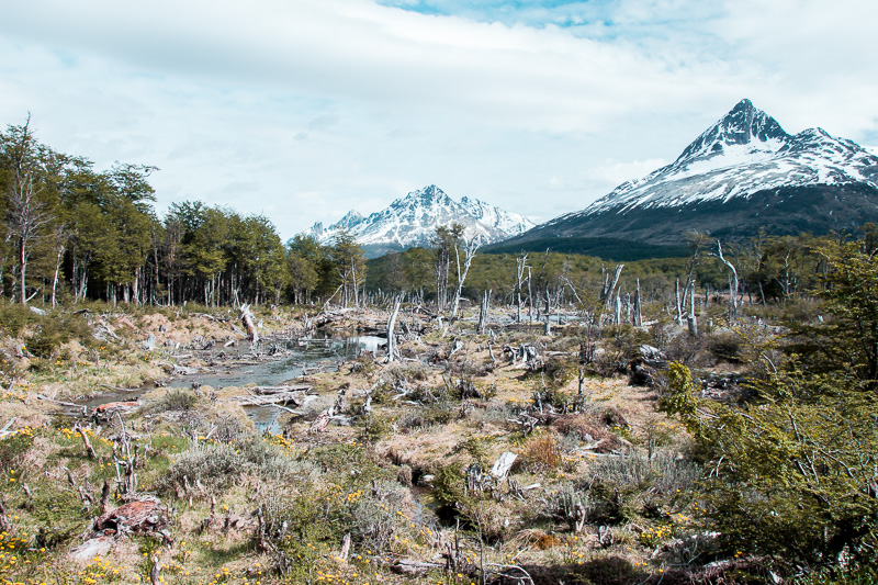 Trekking Laguna Esmeralda